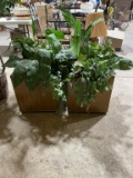 2 artificial plants in square wooden planters