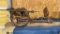 Antique drill press