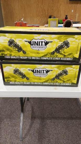 Pair of New struts for 2000-06 Nissan Sentra