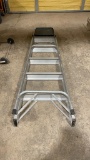 6’ aluminum ladder