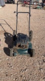 Lawnmower