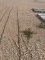 New 5/16” x 20’ chain
