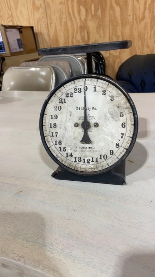 Family scale