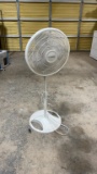 Fan
