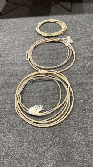 3 ropes