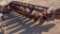 10’ one way Disc plow