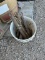 Bucket of window weights