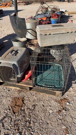 Pallet of small animal supplies