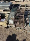 3 live traps