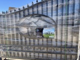 14' Double Gate with Cow Design