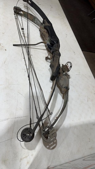 2 compound bows