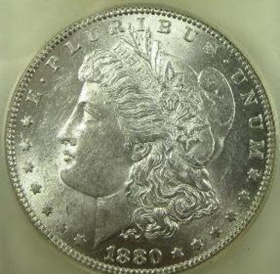 Make it yours!  Morgan Dollar Collection  L29