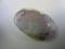 52.60 Dendritic Opal