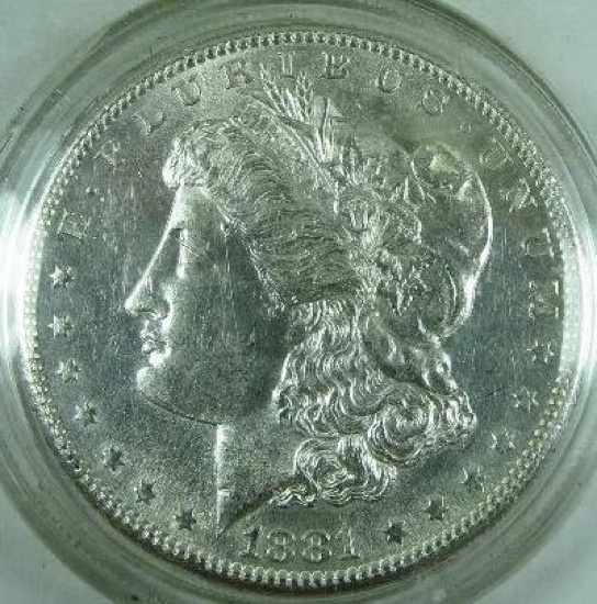 Make it yours!  Morgan Dollar Collection  S29