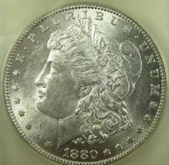 Make it yours!  Morgan Dollar Collection  T29