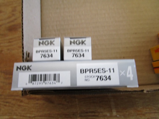 Box 21 Spark Plugs