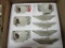 M.J Hummel Tea Set