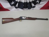 Henry Repeating Arms .22