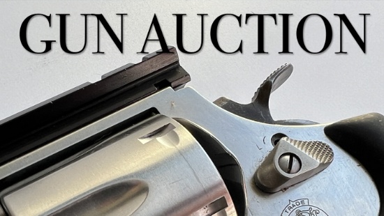 Gun Auction