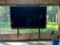 TV with Sound System