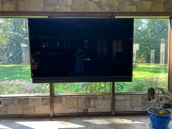 TV with Sound System