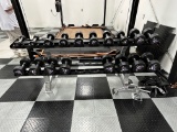Hammer Strength Dumbells