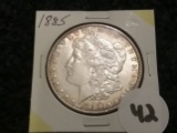 1885 Morgan Dollar Uncirculated
