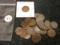 Thirty-five (35) Indian Cents
