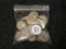 Bag of fifty (50) Buffalo Nickels