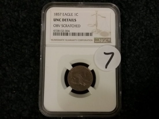 NGC 1857 Flying Eagle Cent Uncirculated-details
