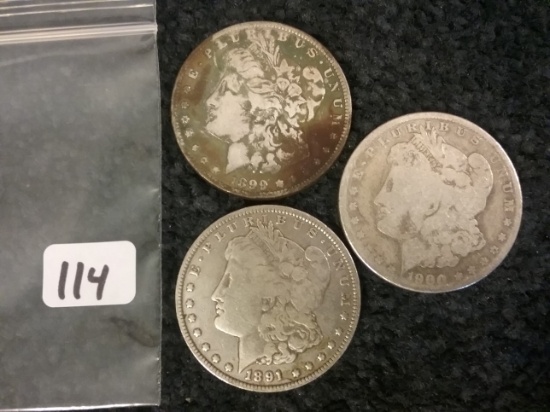 Group of Three Morgan Dollars