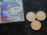 1920 P, D, and S Buffalo Nickel Set