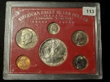 American Eagle Silver Dollar Complete Year Set