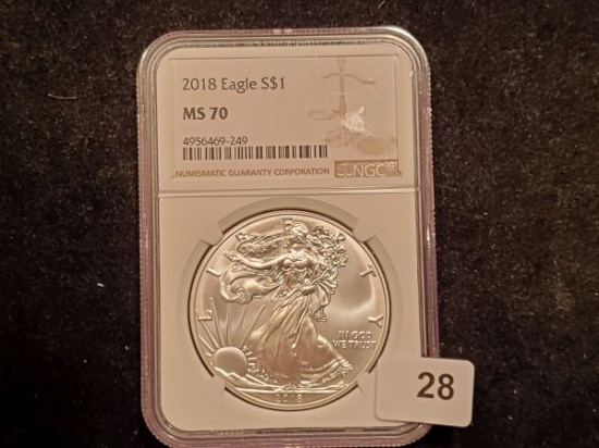 NGC 2018 American Silver Eagle in MS-70