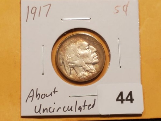 Purty! 1917 Buffalo Nickel in About Uncirculated