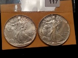 1993 and 1988 American Silver Eagles