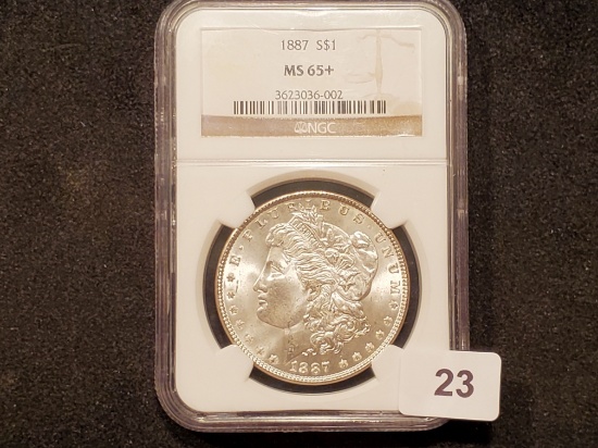 Stunning NGC 1887 Morgan Dollar Mint State 65+