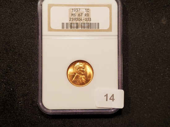 NGC 1937 Wheat cent Mint State 67 RED