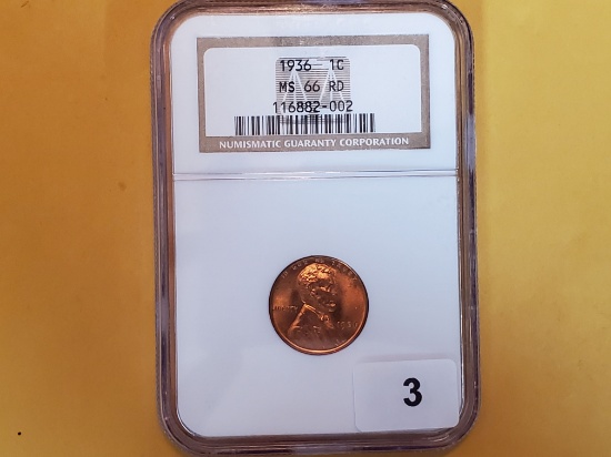 GEM! NGC 1936 Wheat cent in Mint State 66 RED