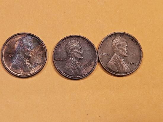 Three 1909 VDB Wheat cents