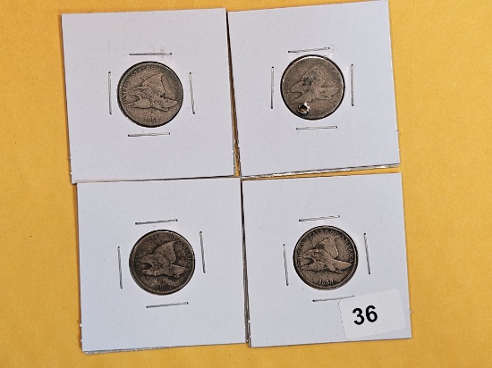 Four 1858 Flying Eagle Cents