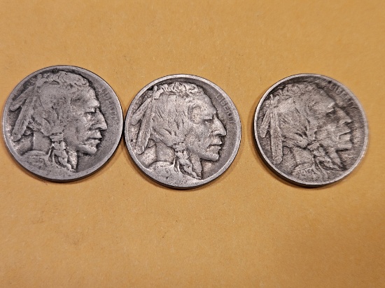 Three First Year issue Buffalo Nickels