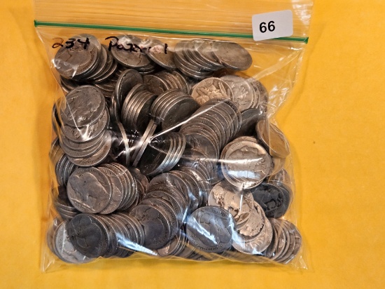 Two Hundred thirty-four Buffalo Nickels