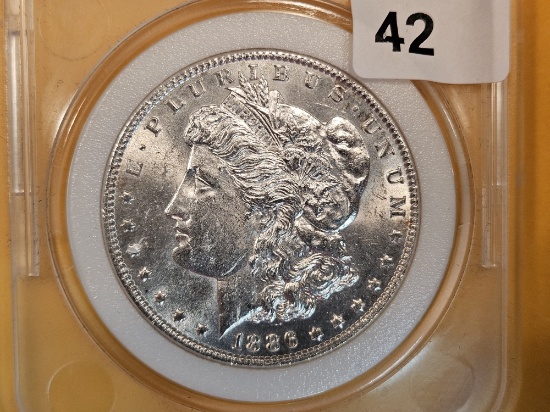 NGC 1886 Morgan Dollar in Mint State 66