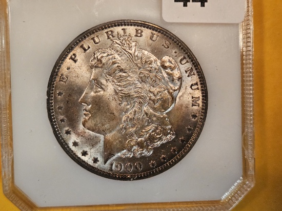 PCI 1900 Morgan Dollar in Mint State 63