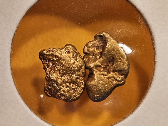 GOLD NUGGETS! Two Cool Gold Nuggets from Alaska