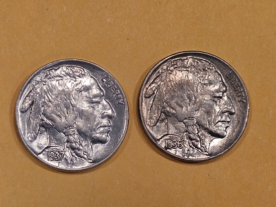 1936 and 1937 Buffalo Nickels