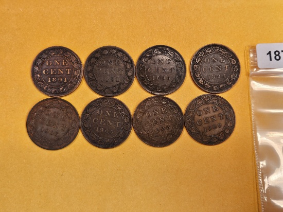 Eight better grade Canadian Large Cents
