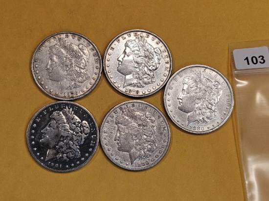 Five mixed Morgan Silver Dollars