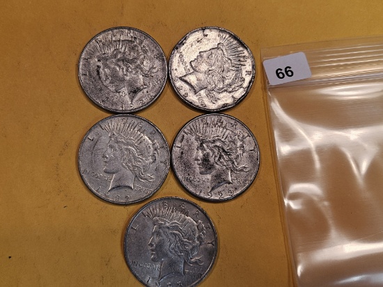 Five mixed Peace Silver Dollars